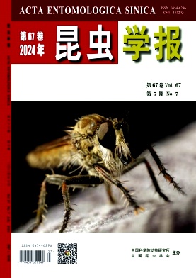 昆虫学报封面